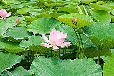 克苏鲁跑团游戏《人格解体》抢先体验发售 正式版预计2023年底推出